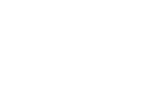 Arc 8