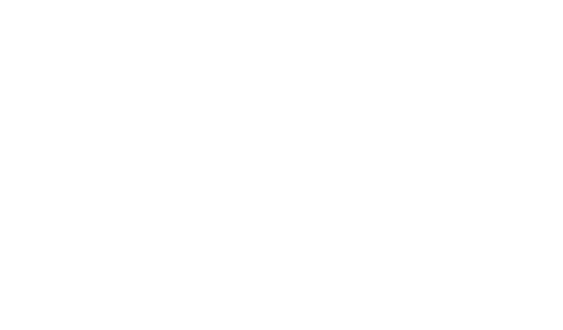 WUFFI